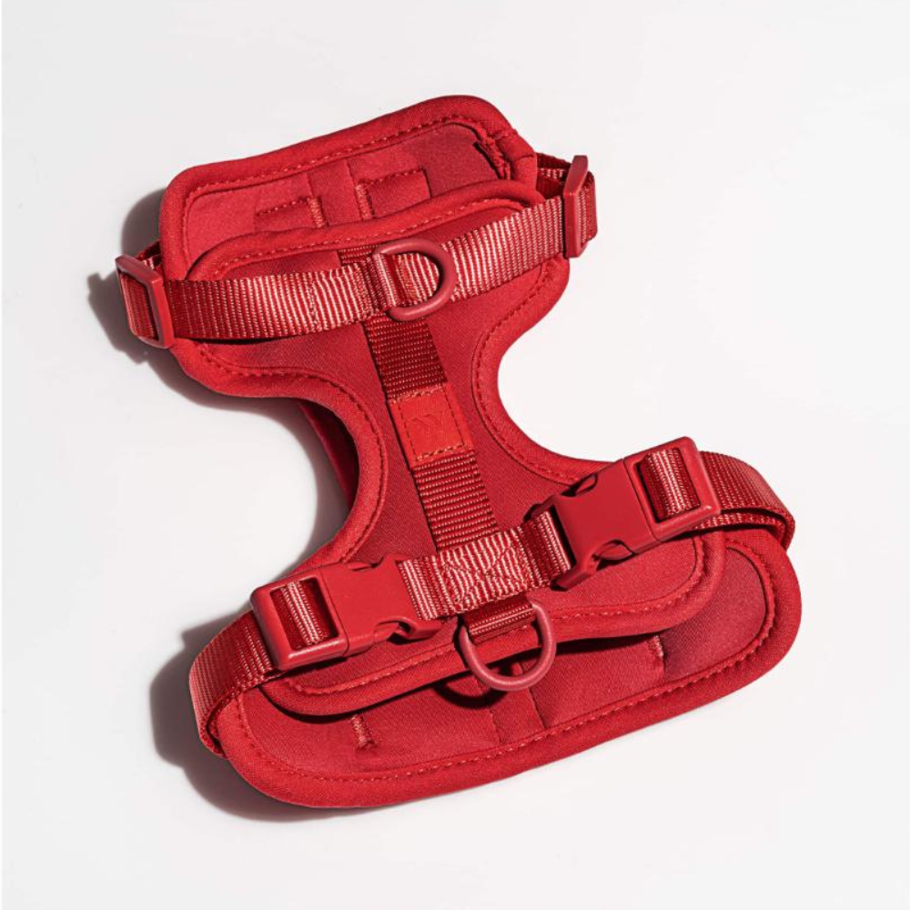 Wild One Dog Harness-Paw Print Pad