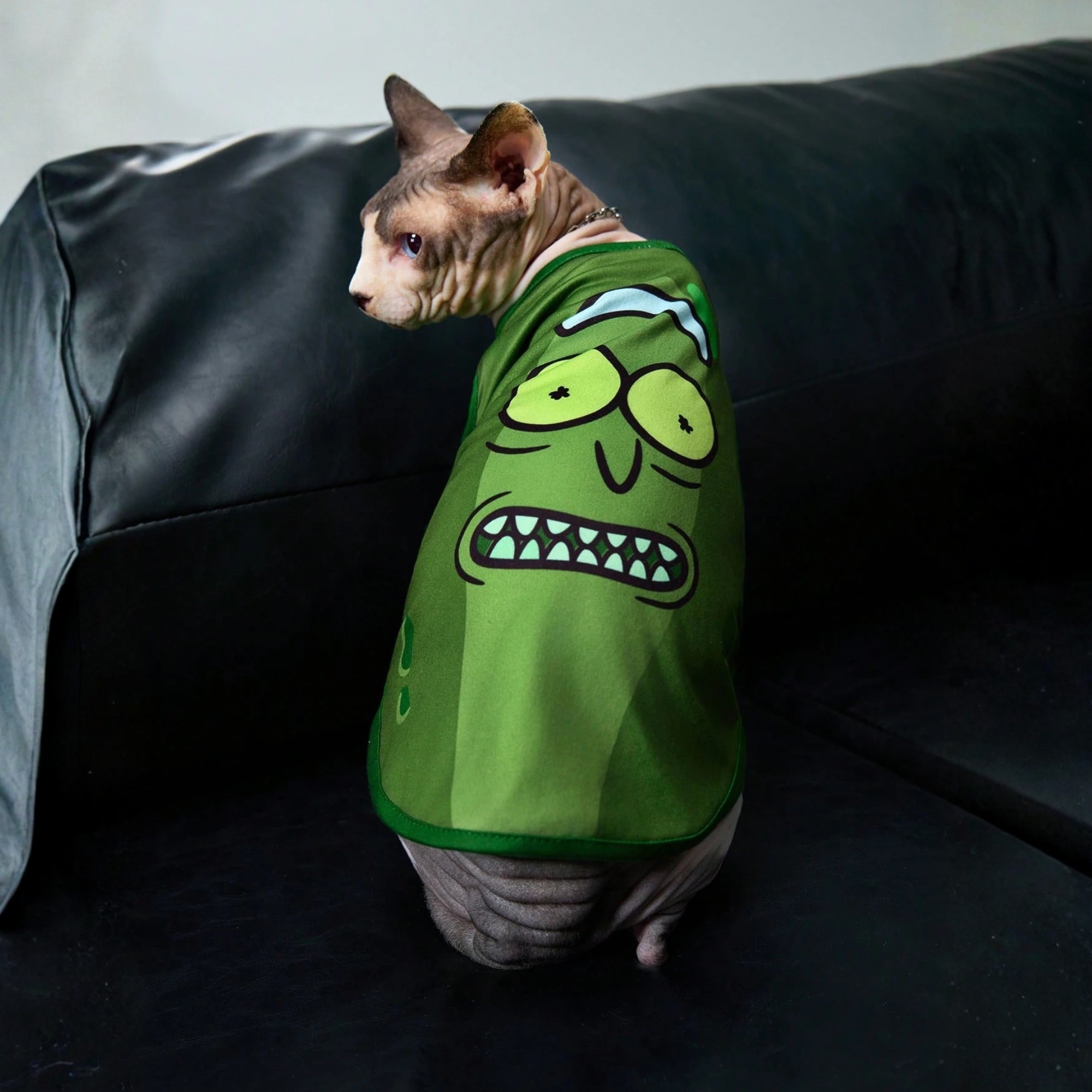 Lightweight Fun Summer Cartoon Print Vest Shirt For Pet 