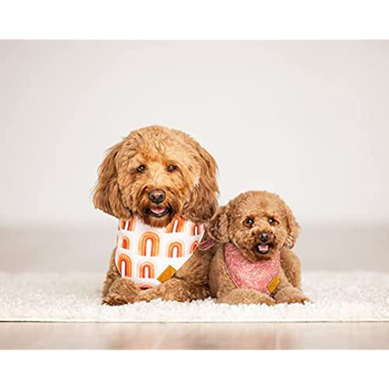 Dog Bandanas - 4 Pack Rubi Set Premium Durable Fabric Unique Shape Adjustable Fit Multiple Sizes-Paw Print Pad