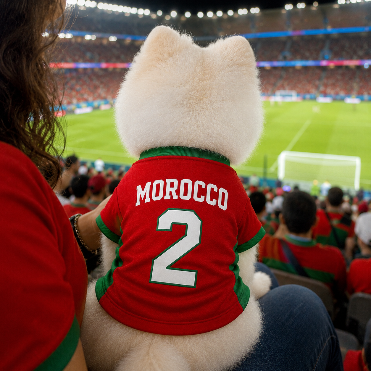 World Cup 2026 Morocco Soccer Pet Jersey