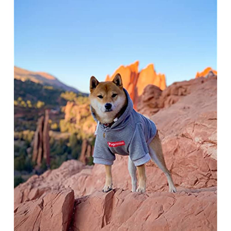 Dog Hoodie Pet Clothing, Cats Hoodies, Stylish Streetwear Gray Dog Sweatshirt Tracksuits, Dog Outfit For Dog Cat Puppy-Paw Print Pad