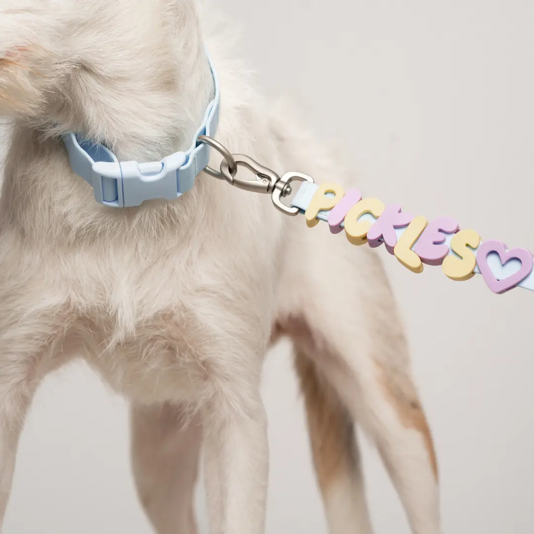 Letters And Symbols For Personalized Dog Collars And Leashes