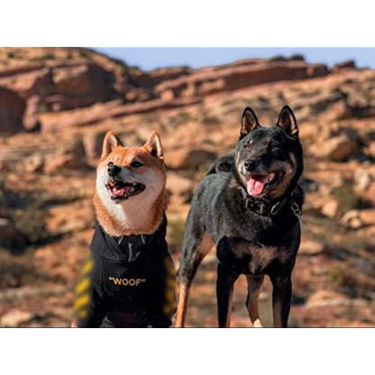 Stylish Dog Hoodie Dog Clothes Streetwear Cotton Sweatshirt Fashion Outfit For Dogs Cats Puppy Small To Large-Paw Print Pad