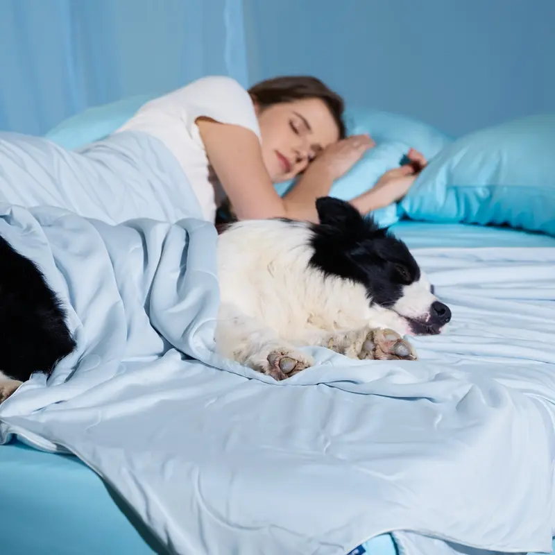 Lightweight Cooling Washable Dog Pet Blanket