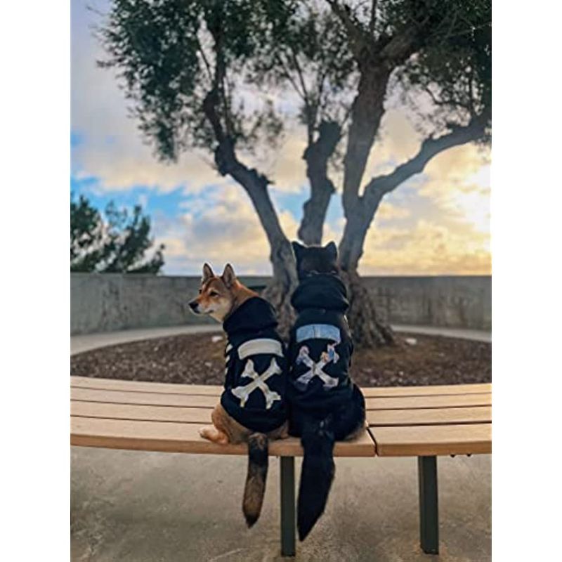 Woof Dog Hoodie, Designer Dog Hoodies-Paw Print Pad