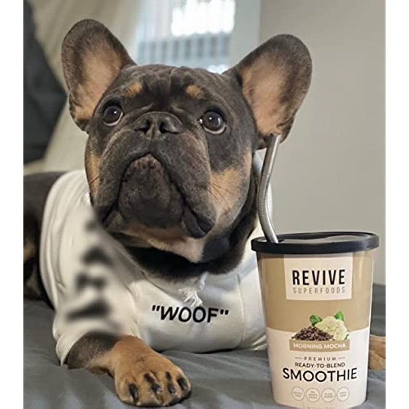 Stylish Dog Hoodie Dog Clothes Streetwear Cotton Sweatshirt Fashion Outfit For Dogs Cats Puppy Small Medium Large-Paw Print Pad