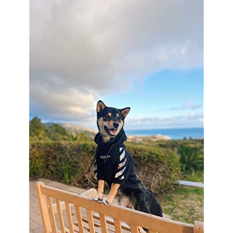 Woof Dog Hoodie, Designer Dog Hoodies-Paw Print Pad