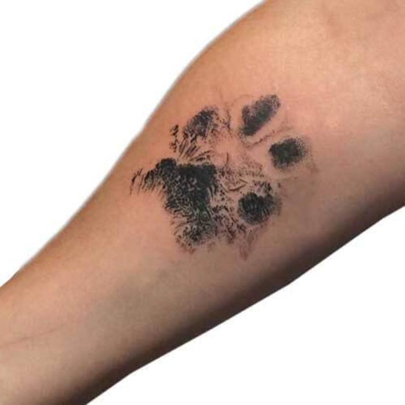 Paw Print Pad Kit - Clean Touch Inkless Ink Pad for Pets, Dogs & Cats-Paw Print Pad