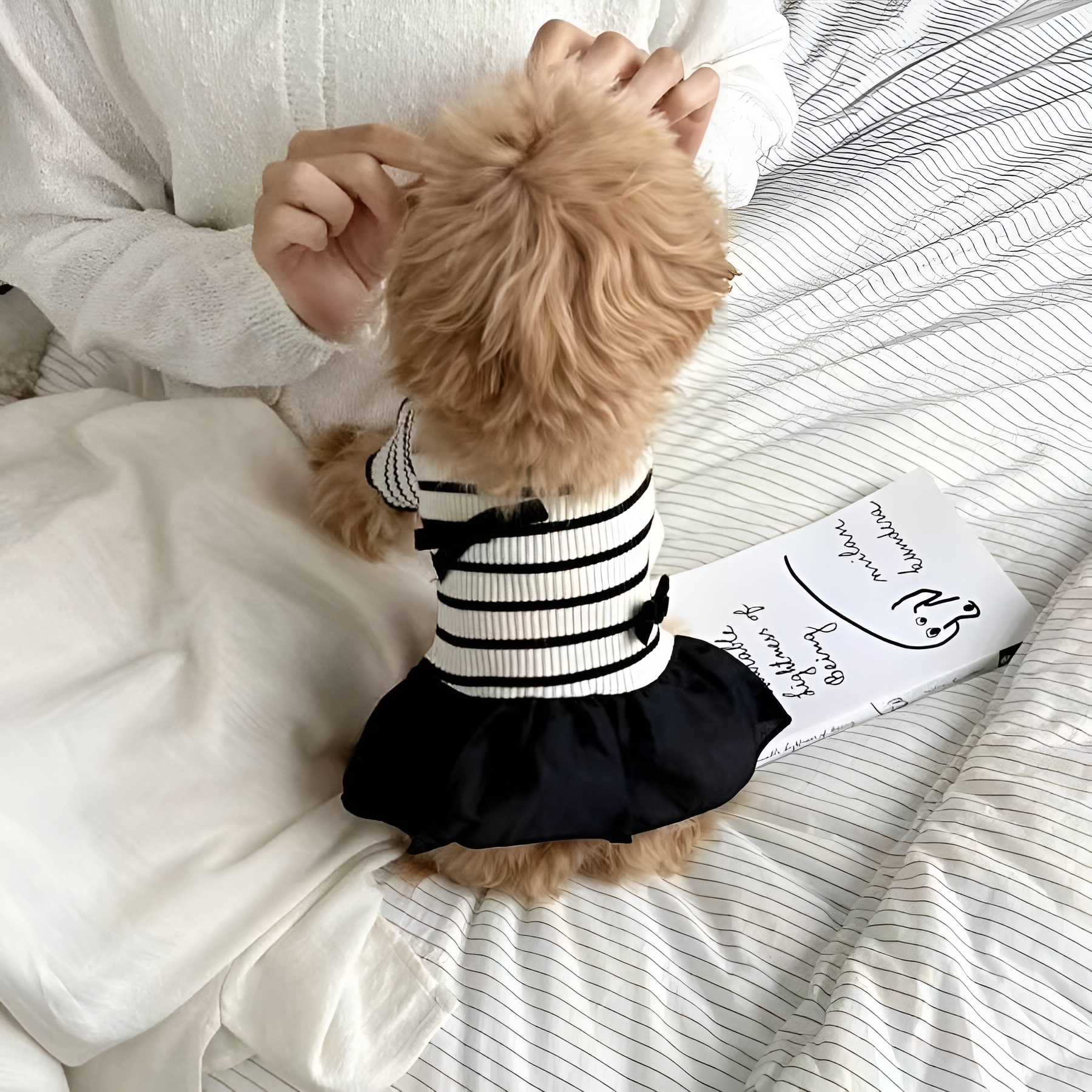 Striped Pet Dress With Bow For Small Dogs Summer Outfit