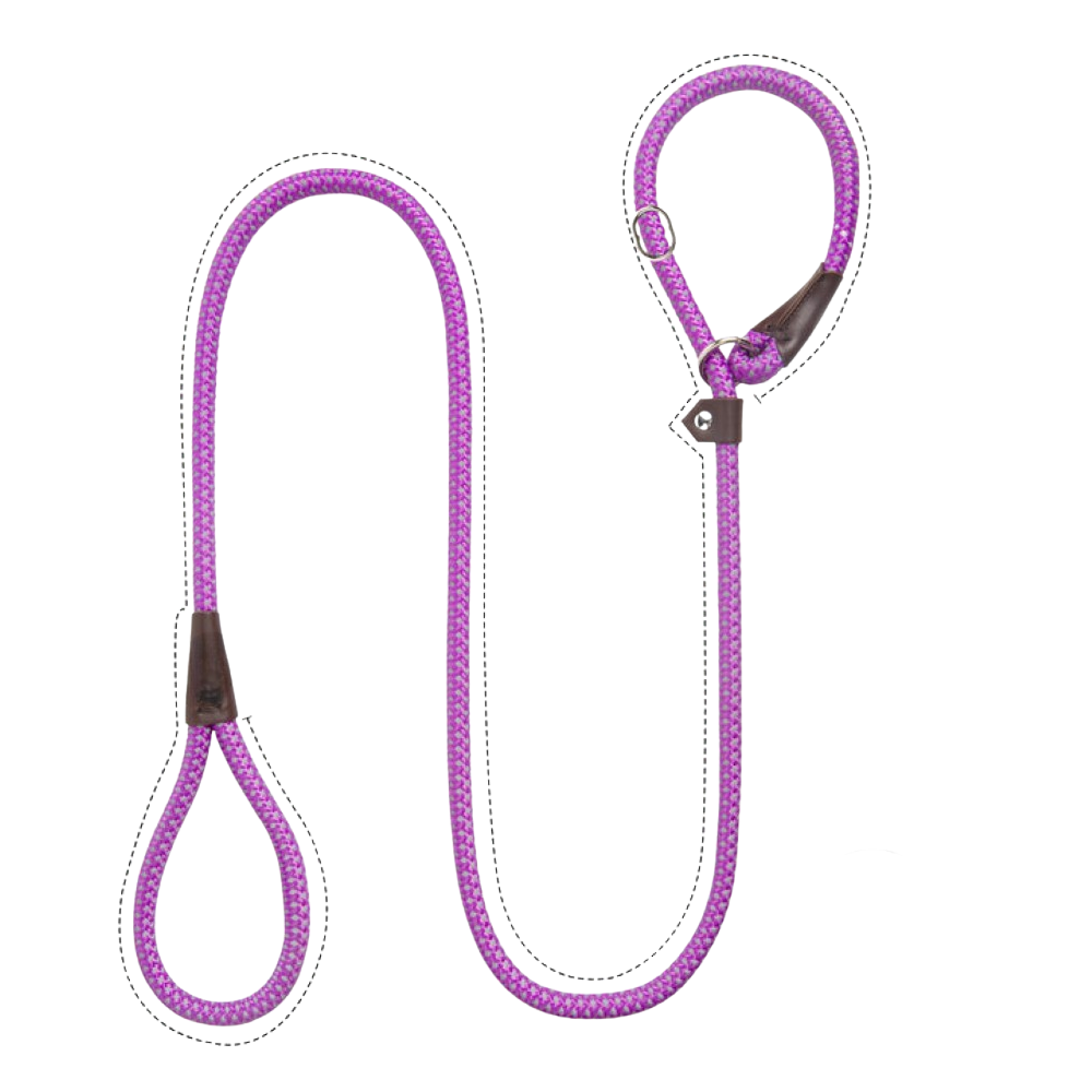 Sturdy Slip Training Leash-Paw Print Pad