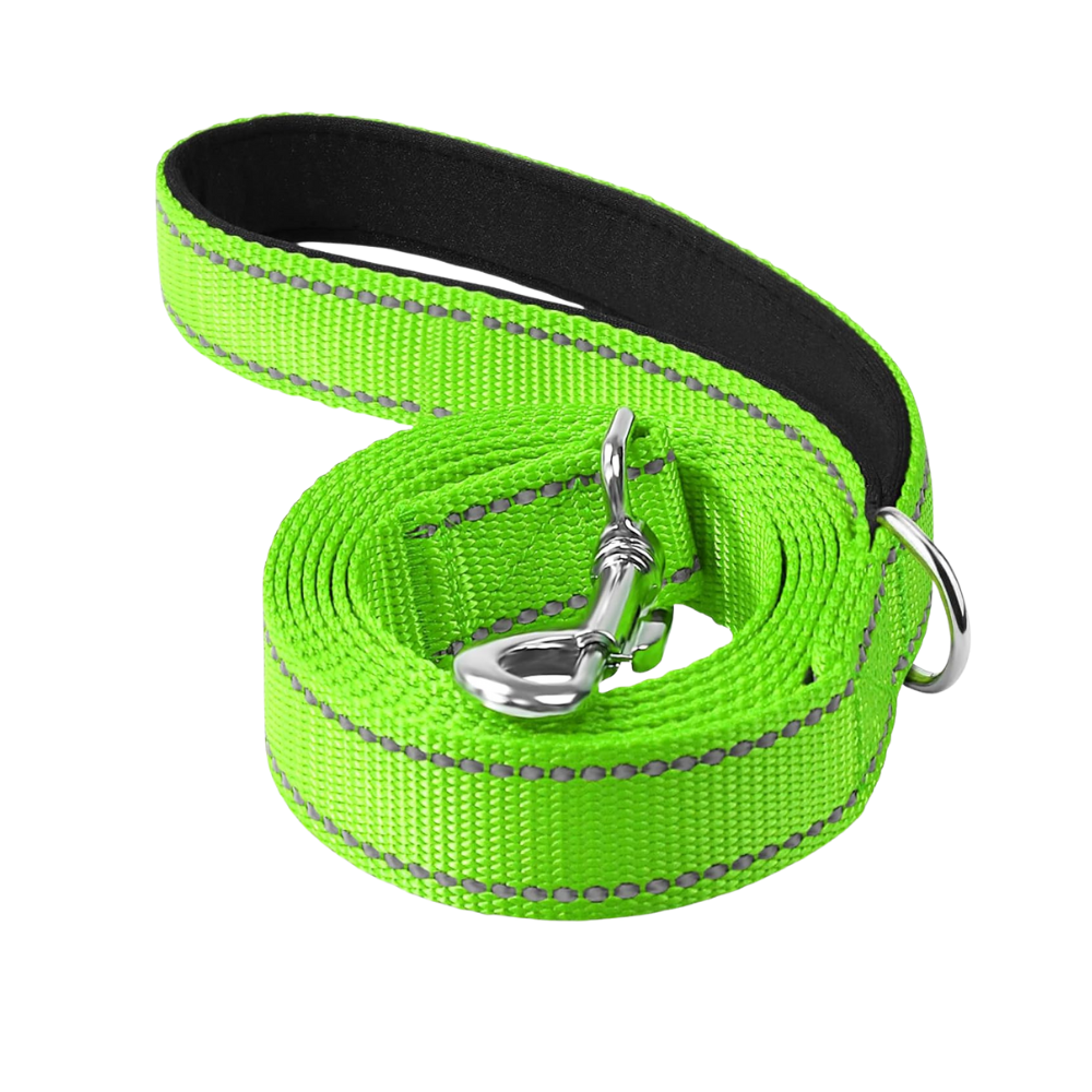Narrow Double Sided Reflective Dog Leash