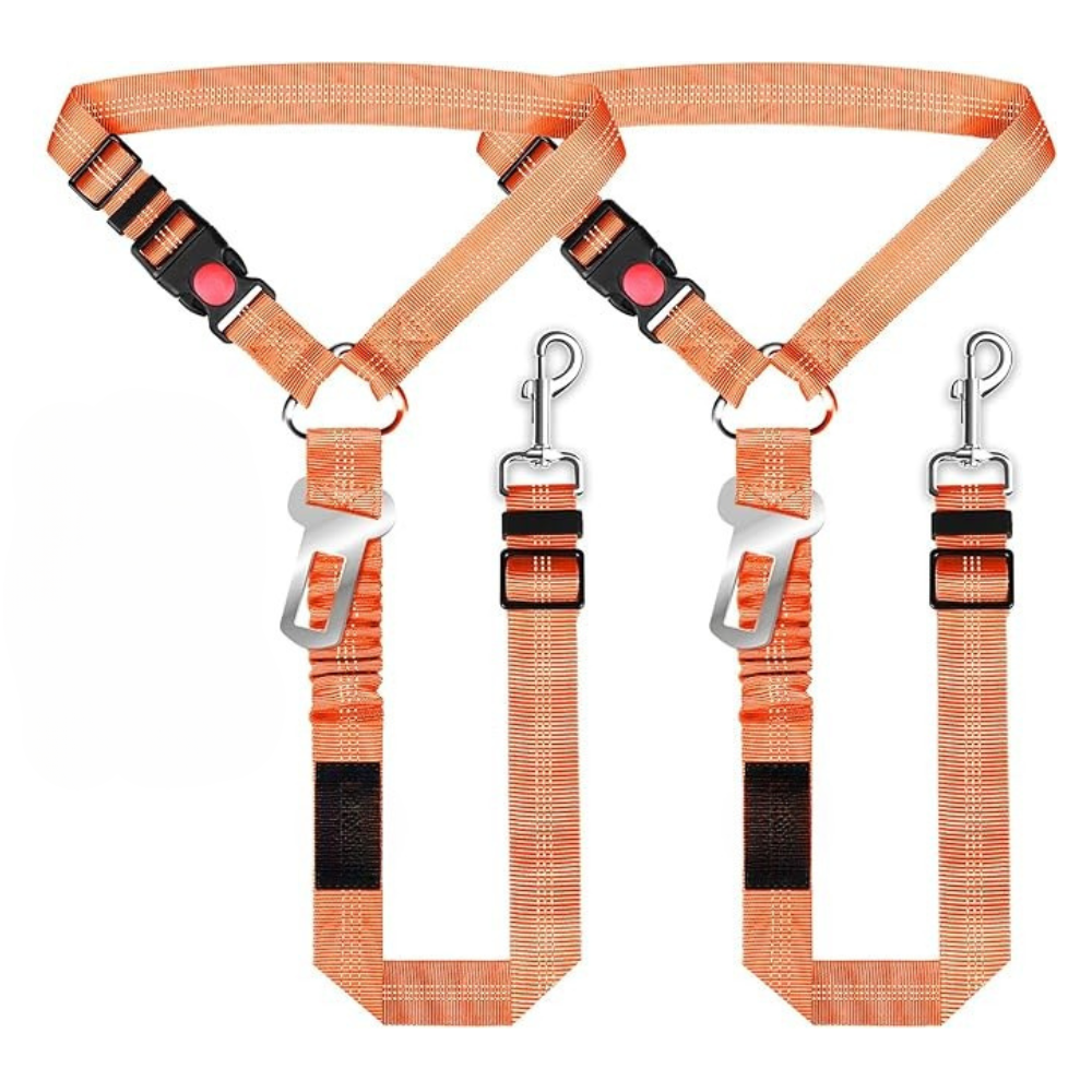 Removable Dog Seat Belt Harness for Car