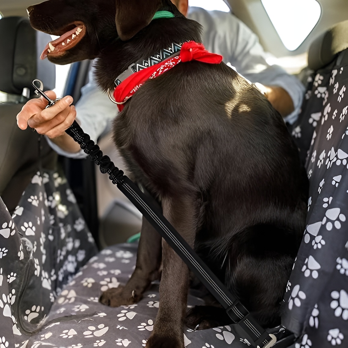 Adjustable Pet Car Seat Leash Set