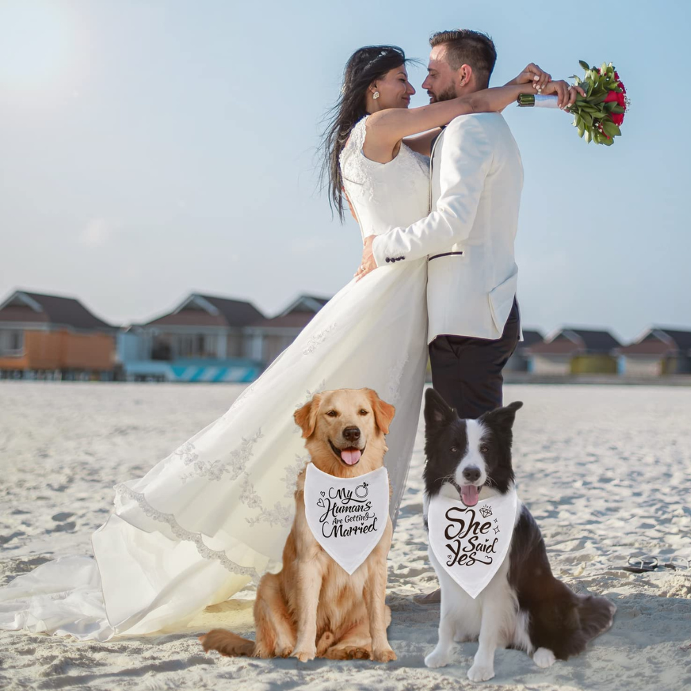 My Humans Are Getting Married Dog Bandana, Wedding Photo Prop, Pet Scarf, Dog Engagement Announcement, Pet Accessories-Paw Print Pad