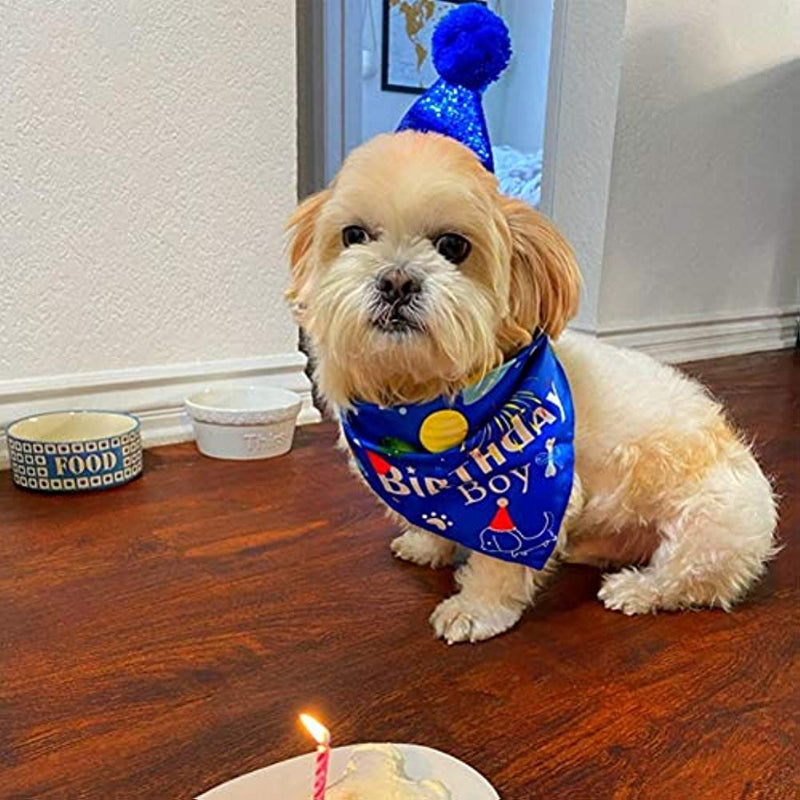 Dog Birthday Bandana Hat Set Dog Puppy Birthday Party Supply Dog Bandana Boy Girl Puppy Birthday Hat Scarf For Small Medium Dog Pet-Paw Print Pad
