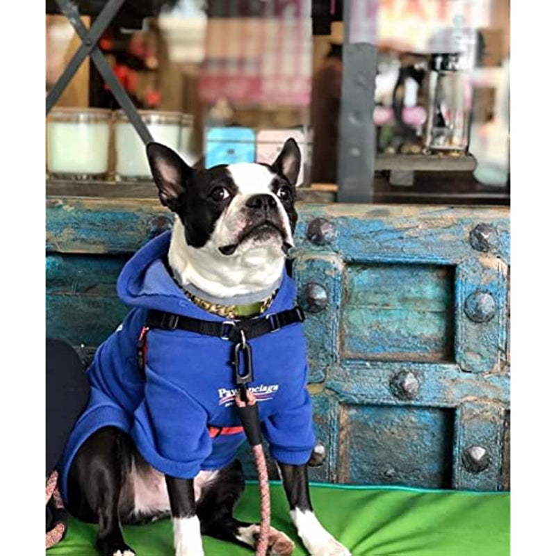 Dog Hoodie Pet Clothing, Cats Hoodies, Stylish Streetwear Blue Dog Sweatshirt Tracksuits, Dog Outfit For Dog Cat Puppy-Paw Print Pad