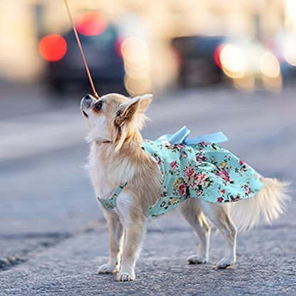 4 Pieces Dog Bowknot Floral Dress Pet Princess Dress Dog Sundress Dog Princess Dress Puppy Summer Dress For Small Pets Dogs Puppy Cats-Paw Print Pad