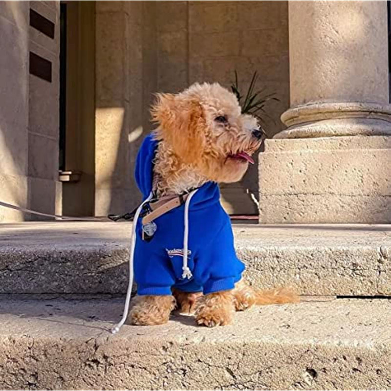 Dog Hoodie Pet Clothing, Cats Hoodies, Stylish Streetwear Blue Dog Sweatshirt Tracksuits, Dog Outfit For Dog Cat Puppy-Paw Print Pad