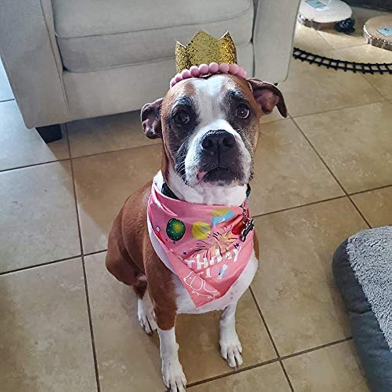 Dog Birthday Bandana Hat Set Dog Puppy Birthday Party Supply Dog Bandana Boy Girl Puppy Birthday Hat Scarf For Small Medium Dog Pet-Paw Print Pad
