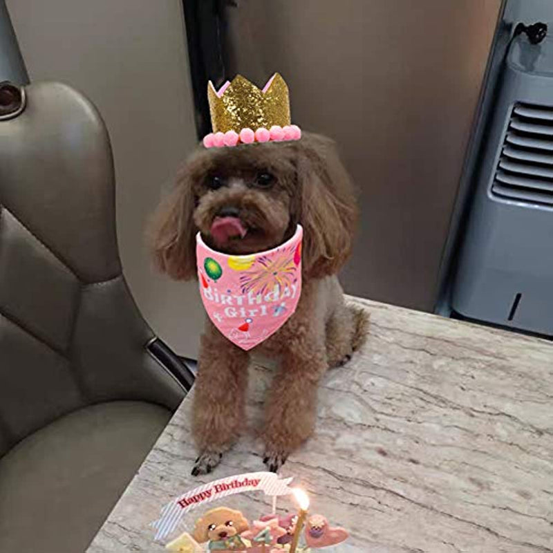 Dog Birthday Bandana Hat Set Dog Puppy Birthday Party Supply Dog Bandana Boy Girl Puppy Birthday Hat Scarf For Small Medium Dog Pet-Paw Print Pad