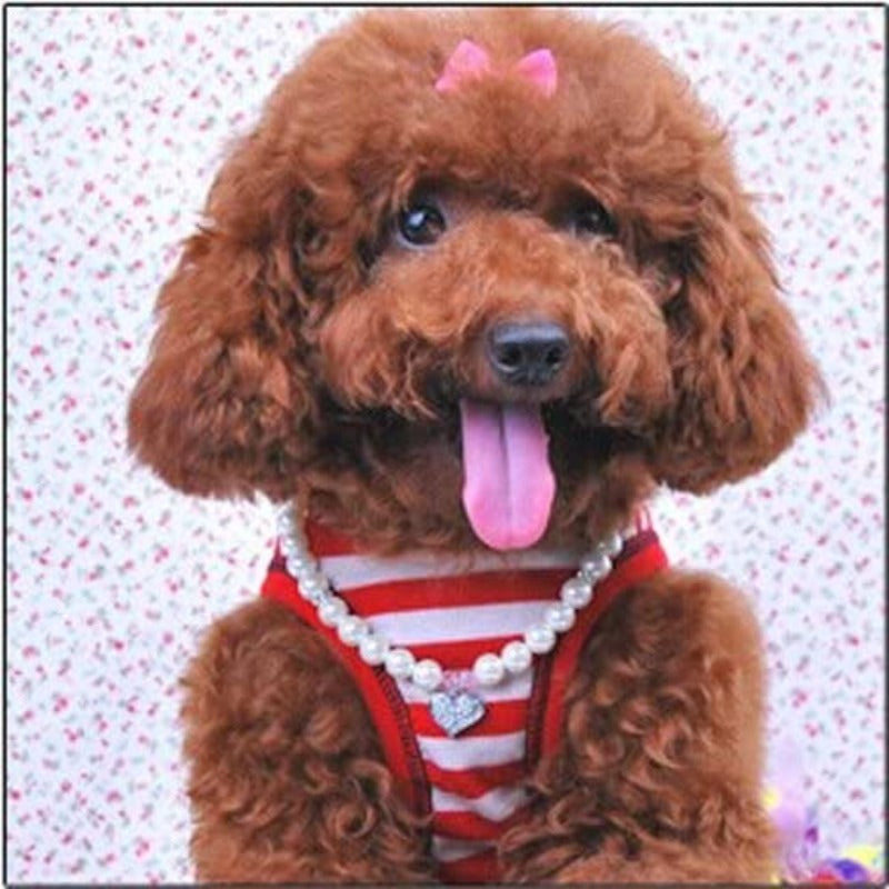 Fancy Pinky Crystal Heart Pet Cat Dog Necklace Jewelry-Paw Print Pad