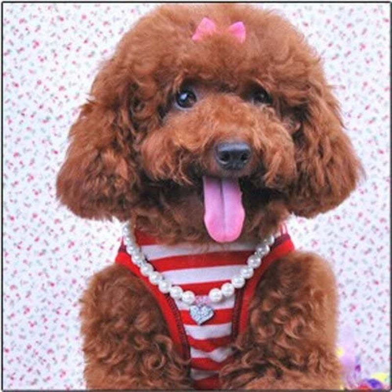 Fancy Pinky Crystal Heart Pet Cat Dog Necklace Jewelry-Paw Print Pad