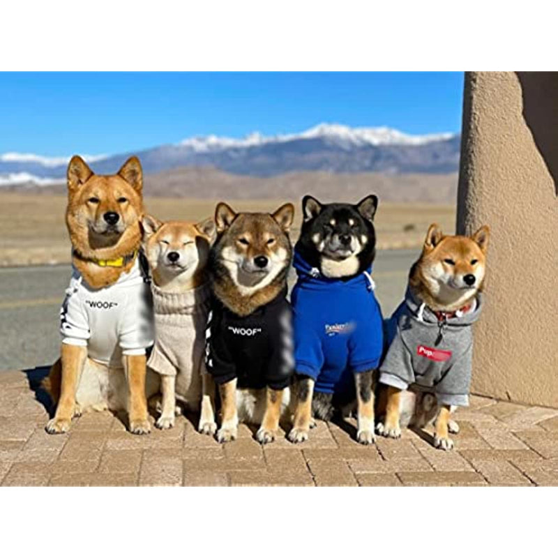 Stylish Dog Hoodie Dog Clothes Streetwear Cotton Sweatshirt Fashion Outfit For Dogs Cats Puppy-Paw Print Pad