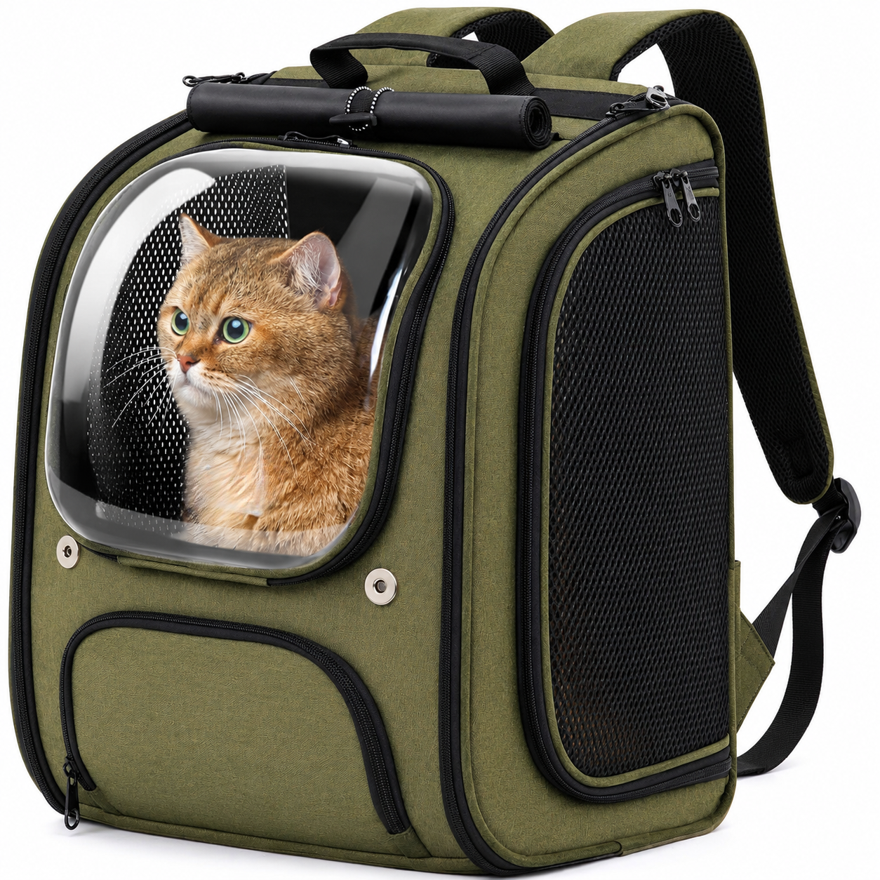 Shaded 3D Design Bubble Backpack For Pets