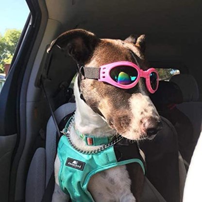 Dog Goggles Eye Wear Protection Waterproof Pet Sunglasses for Dogs About Over 15 lbs (Pink)-Paw Print Pad