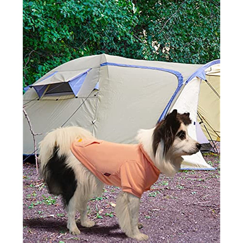 Basic Dog Hoodie Sweatshirts, Pet Clothes Hoodies Sweater With Hat & Leash Hole, Soft Cotton Outfit Coat For Small Medium Large Dogs Velvet Pink-Paw Print Pad