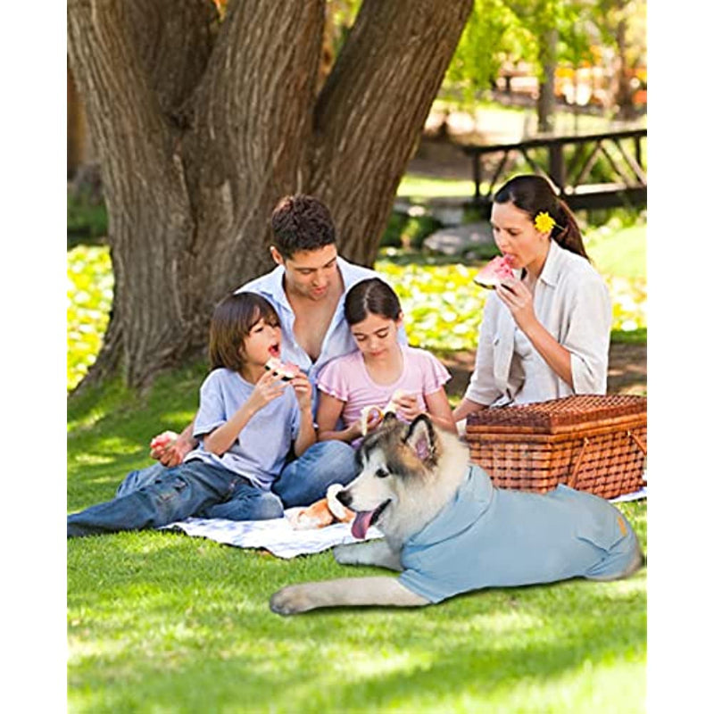 Basic Dog Hoodie Sweatshirts, Pet Clothes Hoodies Sweater With Hat & Leash Hole, Soft Cotton Outfit Coat For Small Medium Large Dogs Velvet Blue-Paw Print Pad