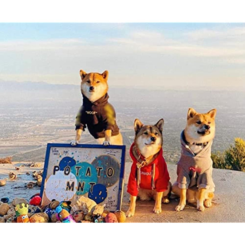 Stylish Dog Hoodie Dog Clothes Streetwear Cotton Sweatshirt Fashion Outfit For Dogs Cats Puppy Small To Large-Paw Print Pad