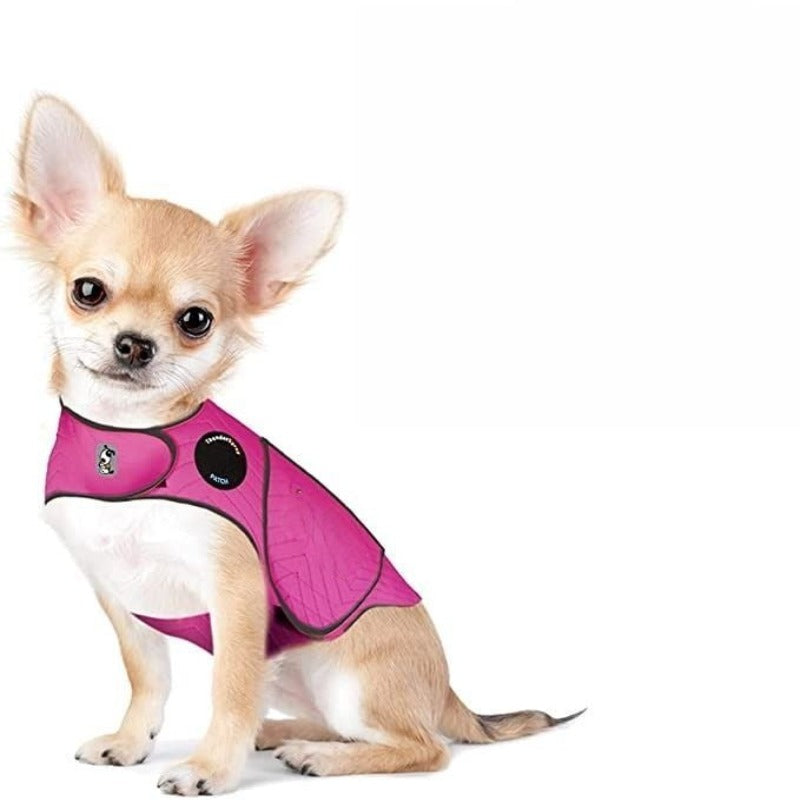 Dogs Clothing, Dog Jacket, Platinum, Large-Paw Print Pad