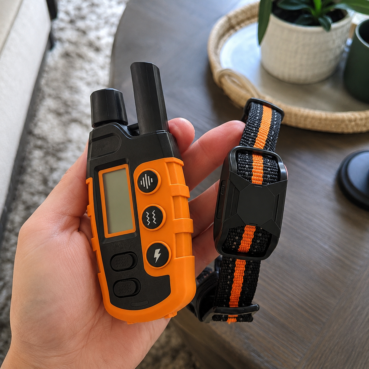 Rechargeable Remote Control Waterproof Dog Training Collar 