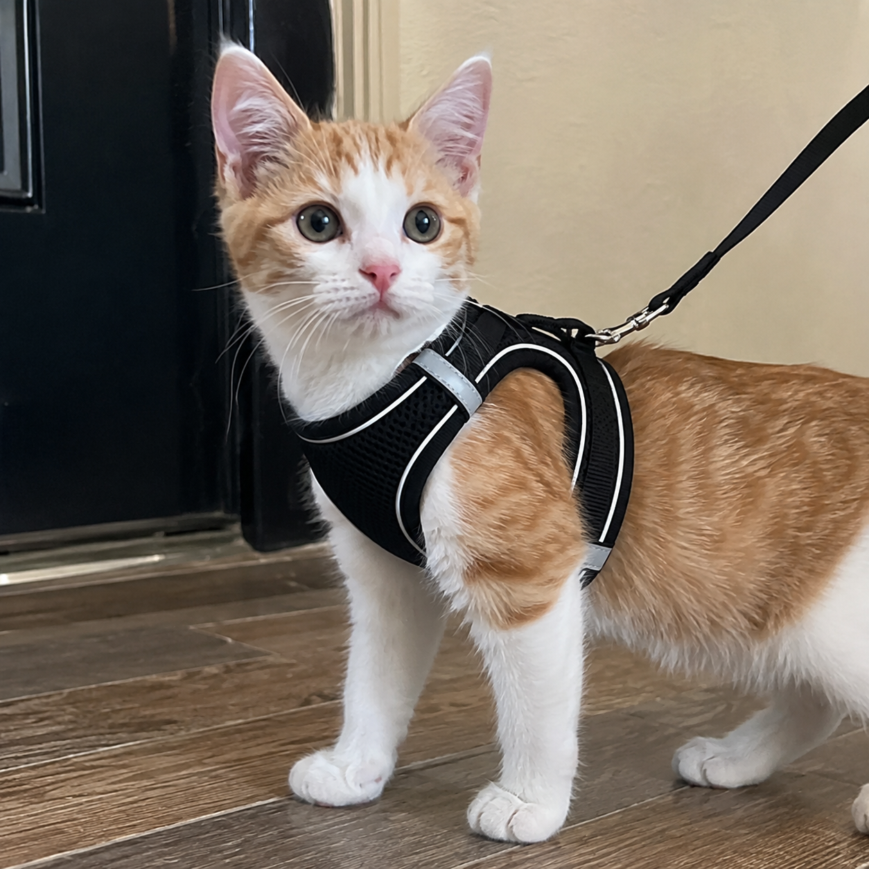 Adjustable Reflective Soft Vest Harness And Leash For Cats