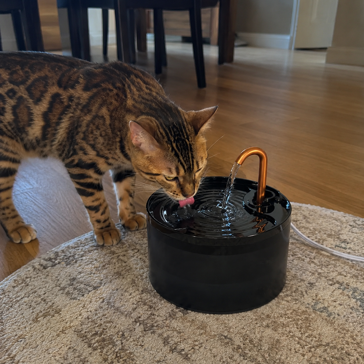 Cat Fountain Filters With Long Lasting Freshness