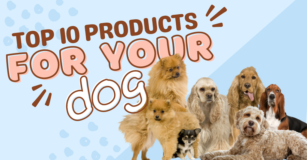 Top Products