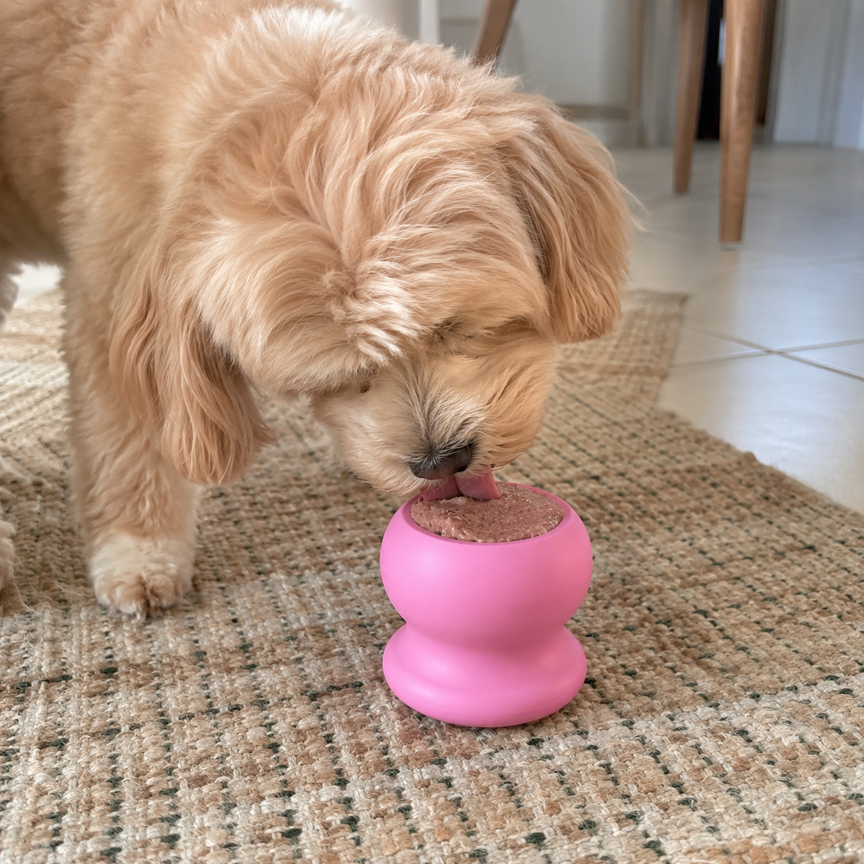 Fillable Dog Chew Bone Toy