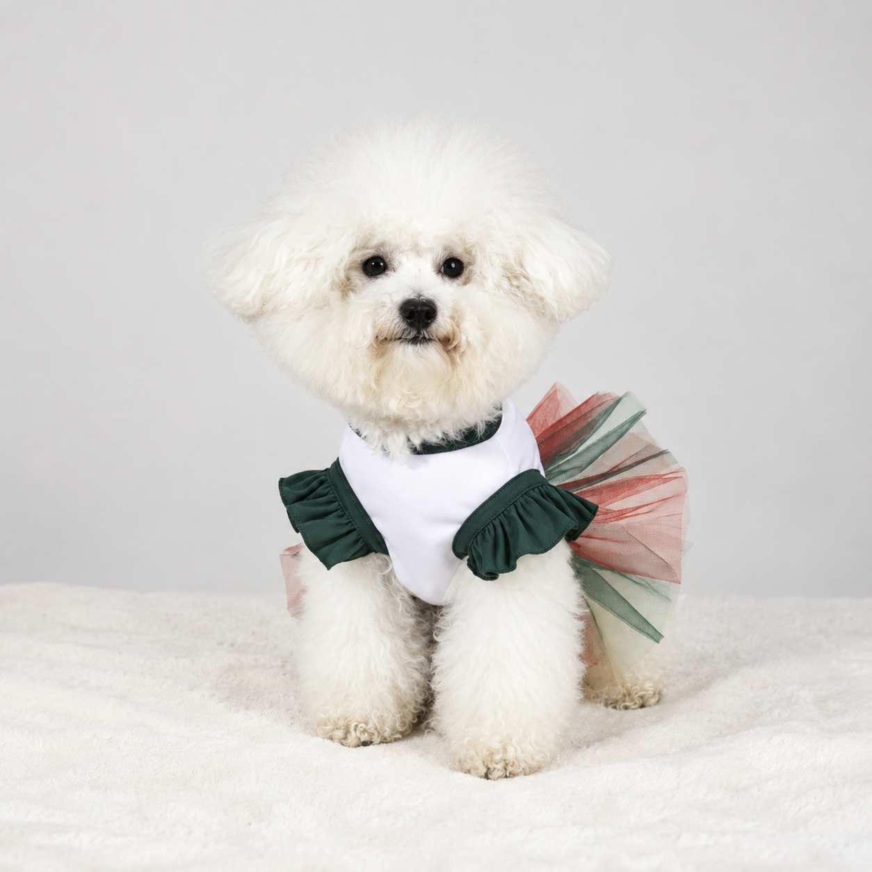 Mexico Team Soccer Fans Skirt Outfit For Pets