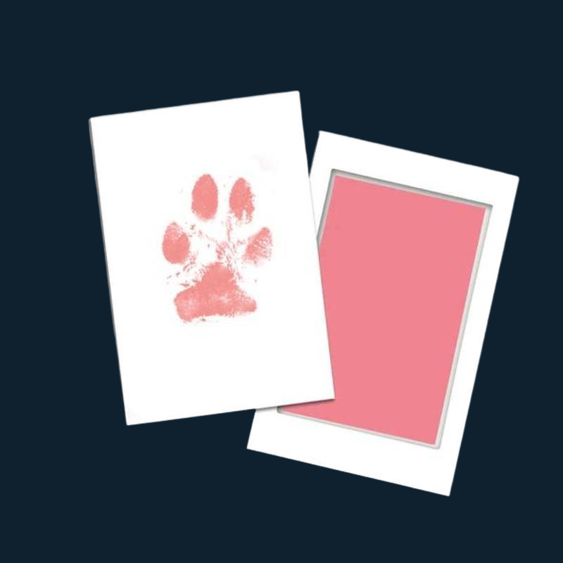 Paw Print Pad Kit 2-Paw Print Pad