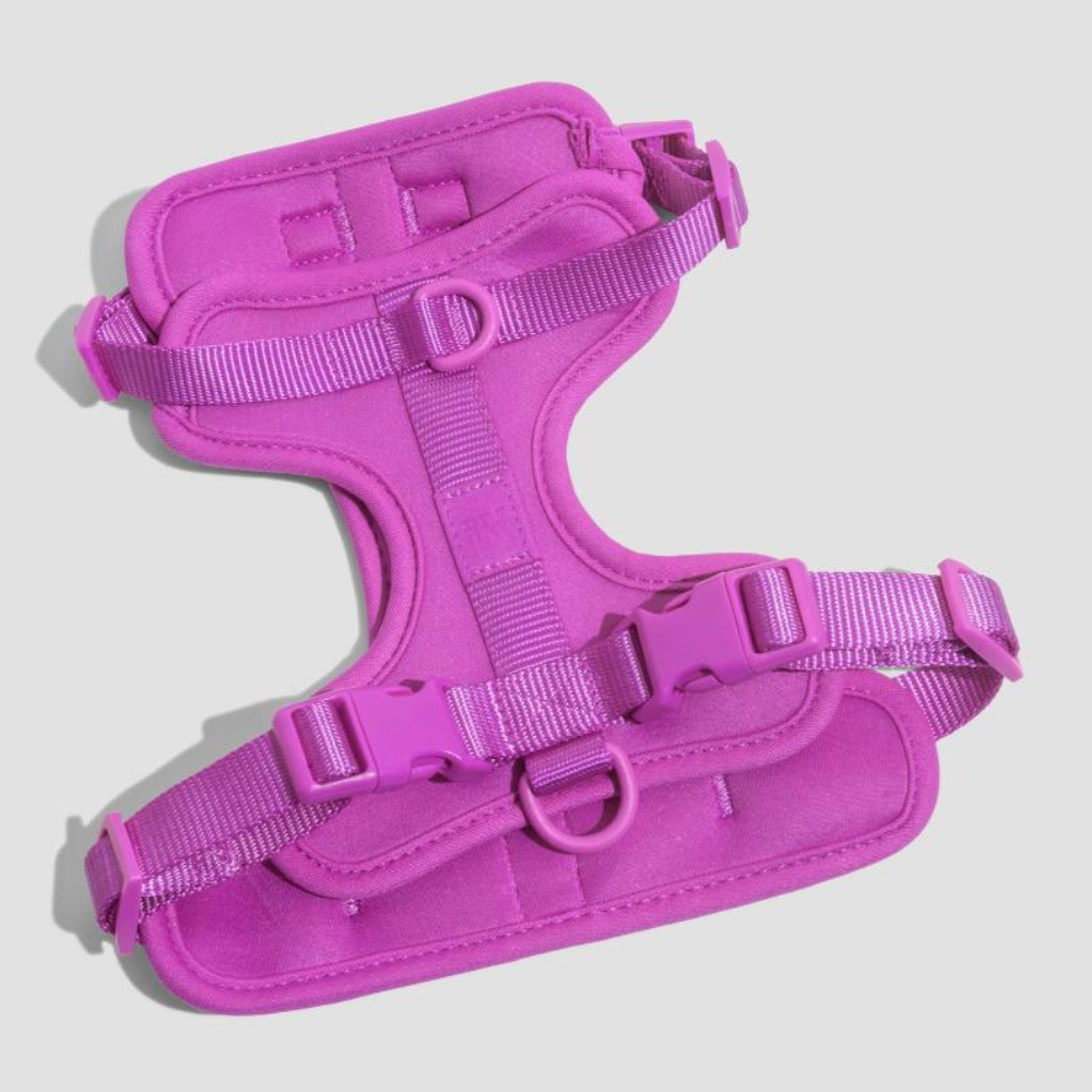 Wild One Dog Harness-Paw Print Pad