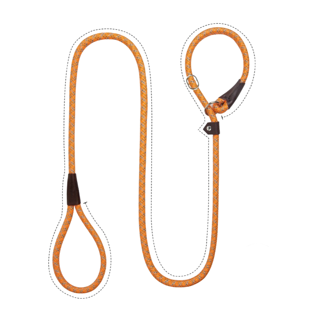 Sturdy Slip Training Leash-Paw Print Pad