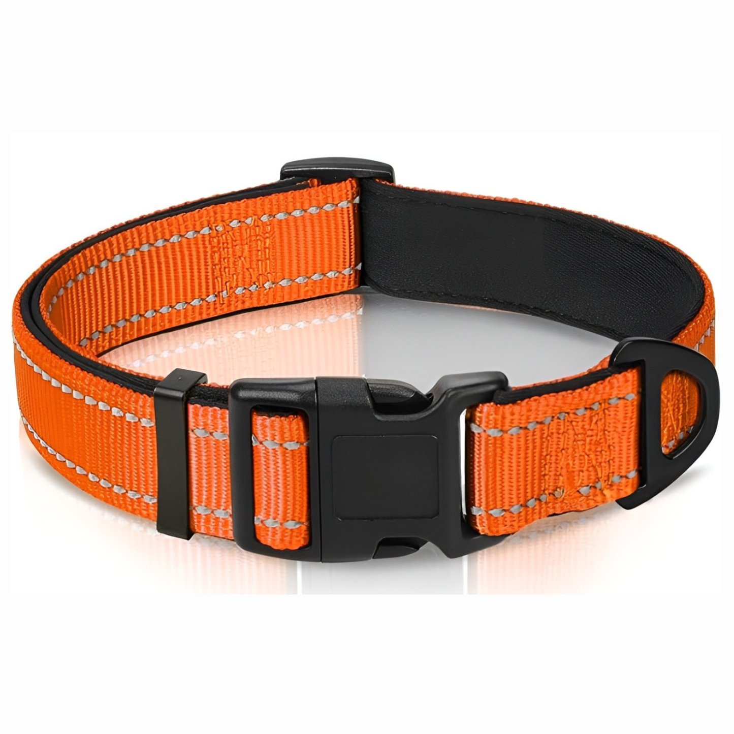 Neoprene Padded Nylon Reflective Dog Collar