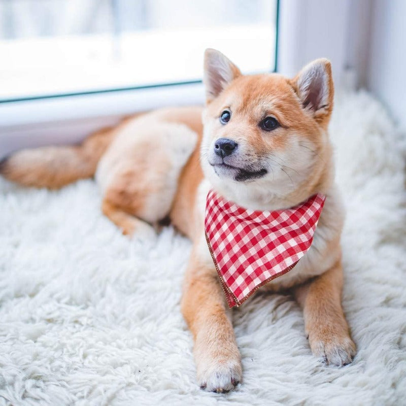 6 Pieces Birthday Gift On Christmas For Dog With Square Plaid Design-Paw Print Pad