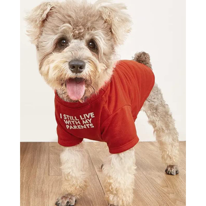 Breathable Soft Dog Costume Pet Dogs Cats, Pet Pullover Jumper