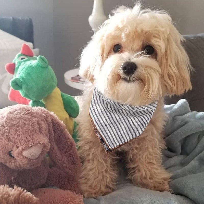 6 Pieces Birthday Gift On Christmas For Dog With Square Plaid Design-Paw Print Pad