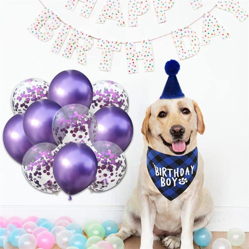 Dog Birthday Party Supplies, Boy Dog Birthday Bandana Scarf And Dog Birthday Hat With Number-Paw Print Pad