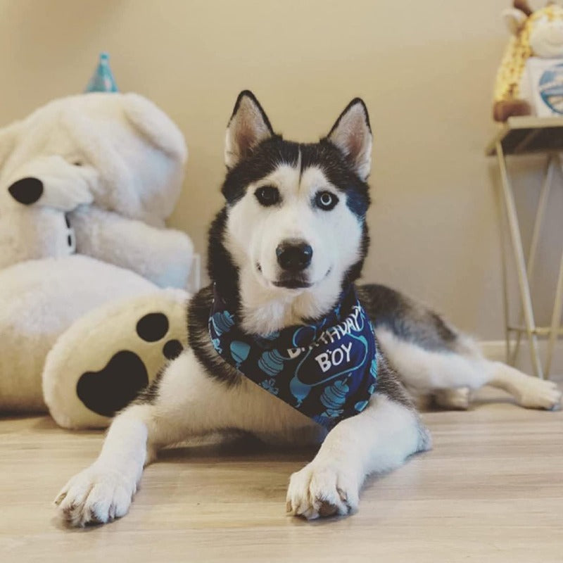 Dog Birthday Bandana, Dog Birthday Boy Hat Scarfs Flag Balloon With Cute-Doggie Birthday Party Supplies Decorations (11-Piece Set)-Paw Print Pad