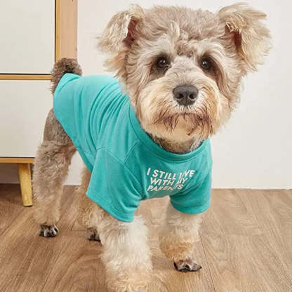 Breathable Soft Dog Costume Pet Dogs Cats, Pet Pullover Jumper