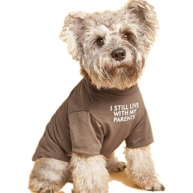 Breathable Soft Dog Costume Pet Dogs Cats, Pet Pullover Jumper